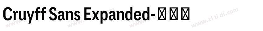 Cruyff Sans Expanded字体转换